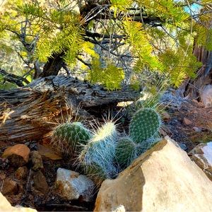 Meet your Posher, Hope M.